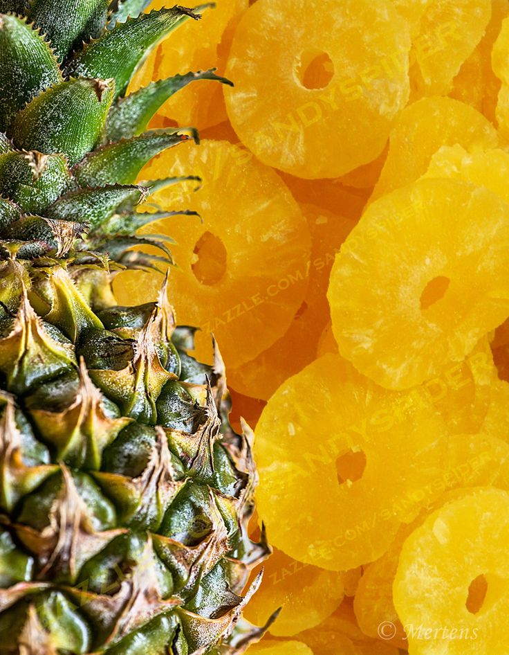 Tropical Pineapple Delight | Naturally Dehydrated Pineapple Slices